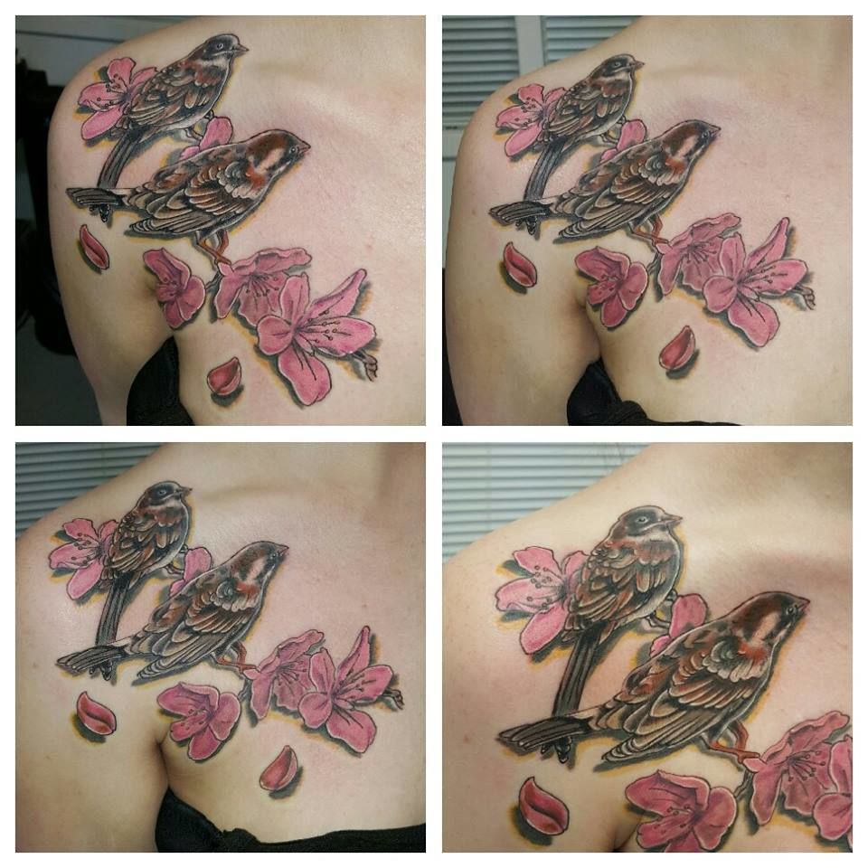 12510366_876615009121648_418923782206022482_n