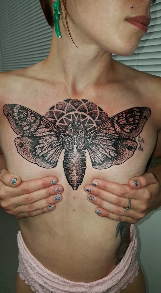 12002760_822059514577198_4951163319555681203_n