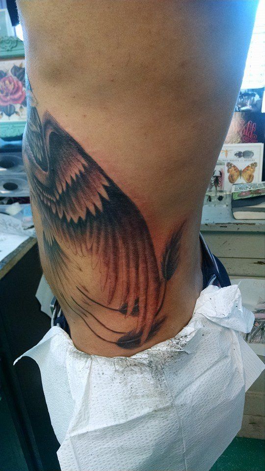 Phoenixribs2