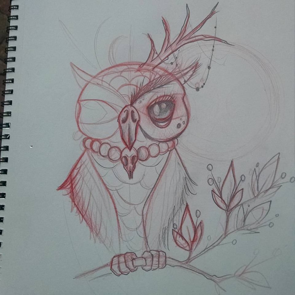 Owlsketch