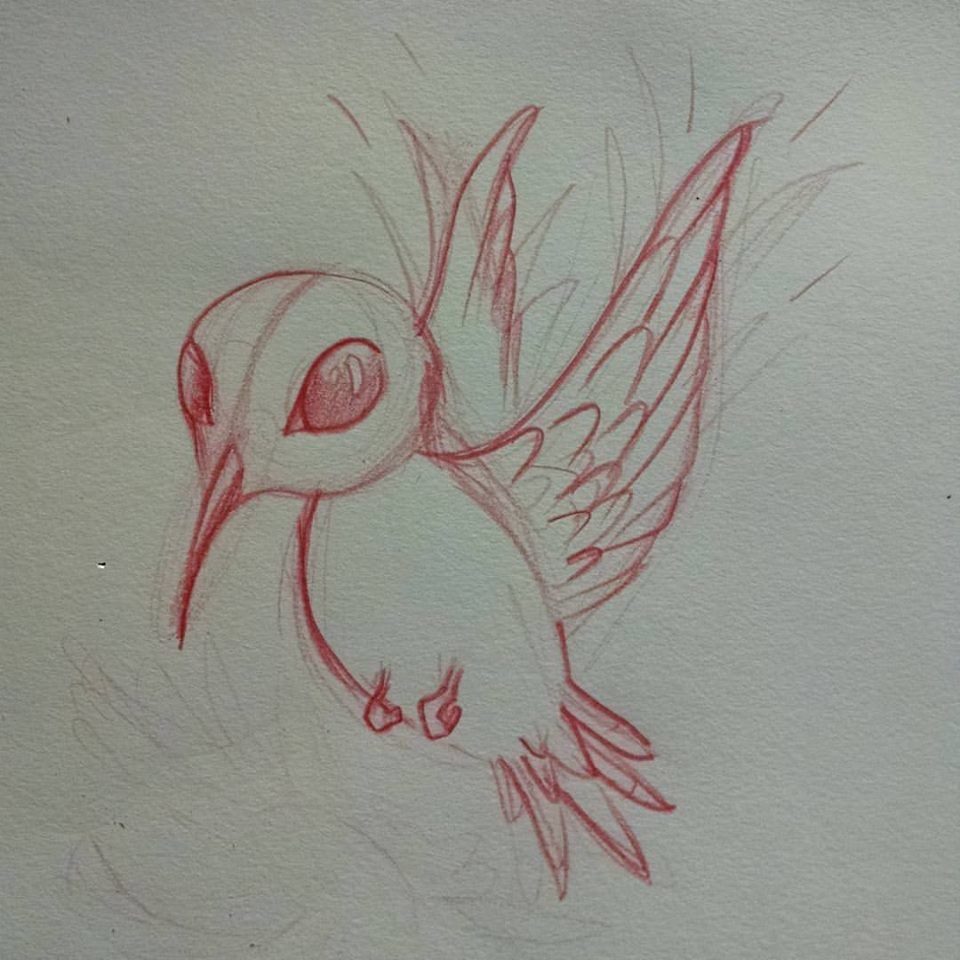 Hummimgbirdsketch
