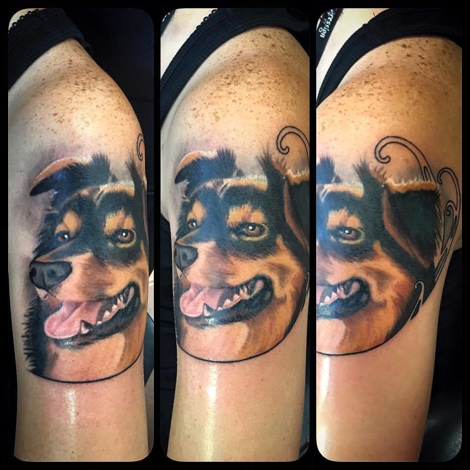 13466146_1217325874945325_6019583403382281842_n