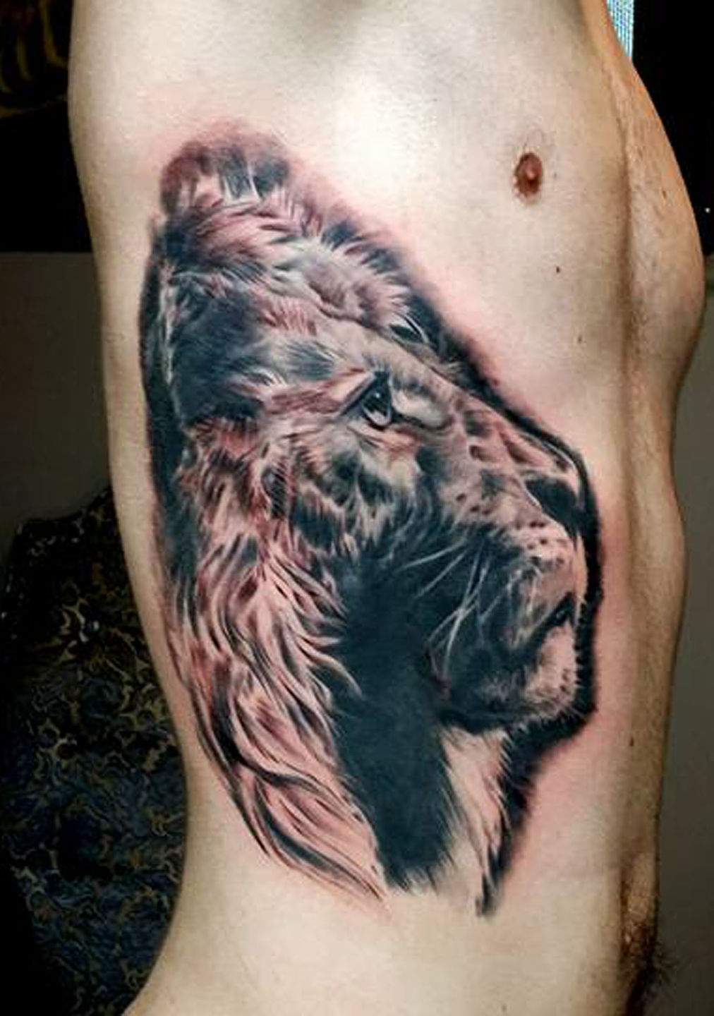 Lion_ribs