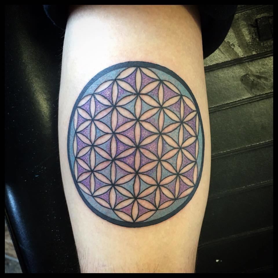 13265994_1305410319487896_6726098822524419272_n