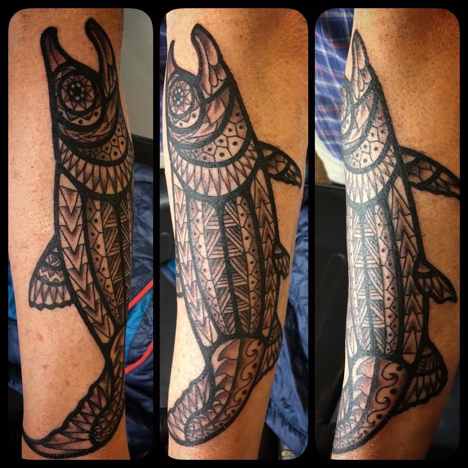 13327534_1309510032411258_2085592943433987626_n