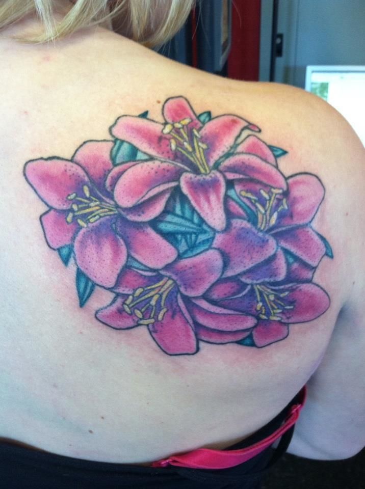 397255_519473068081629_1563725807_n