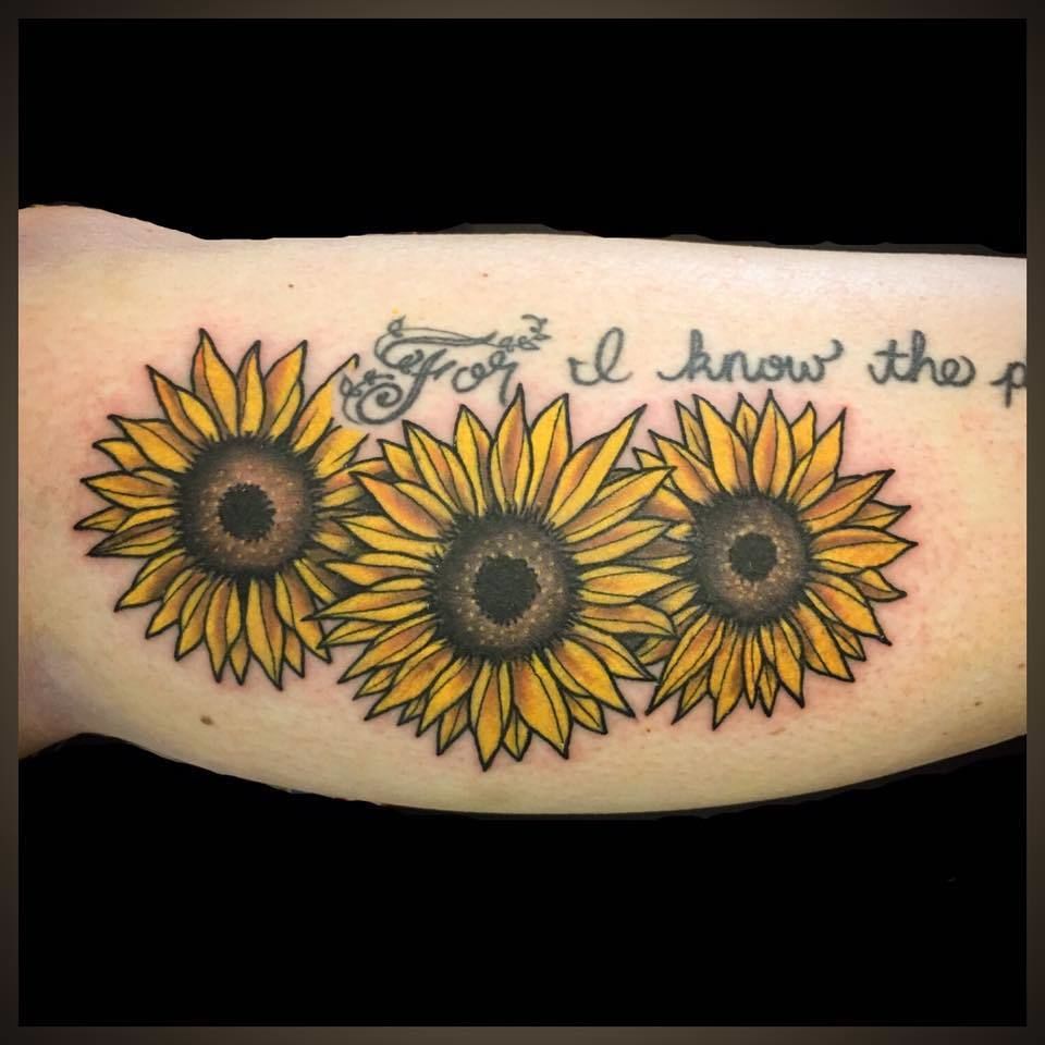 15941185_1531674790194780_6512998730489272511_n