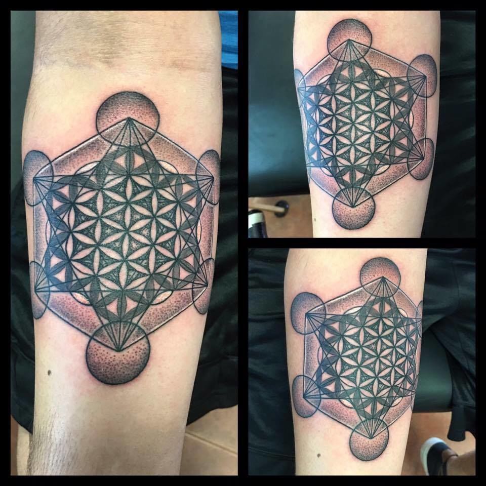 16215832_1221473261276474_1601838361_n