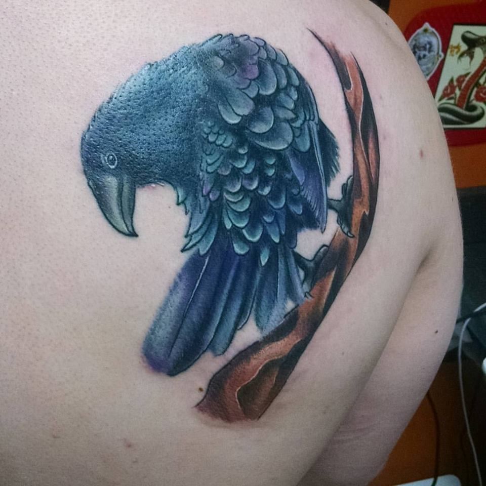 Raven