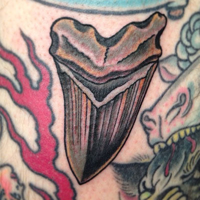 Shark-tooth-tattoo-billy-jordan-the-bell-rose-tattoo-and-piercing-mobile-alabama