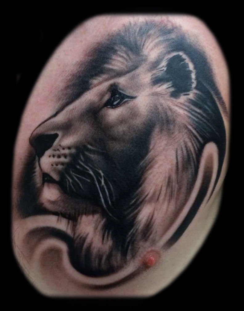 Lion
