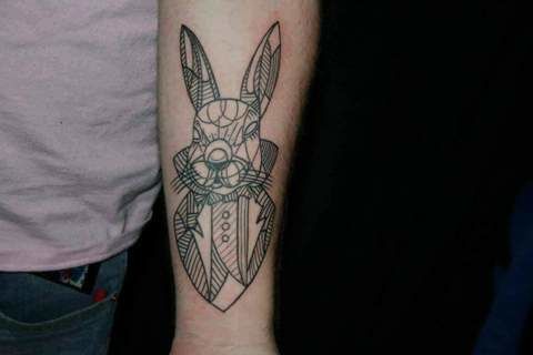 Nigle_white_rabbit_lines