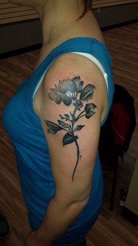 16923533_10208677860520722_585682102_n