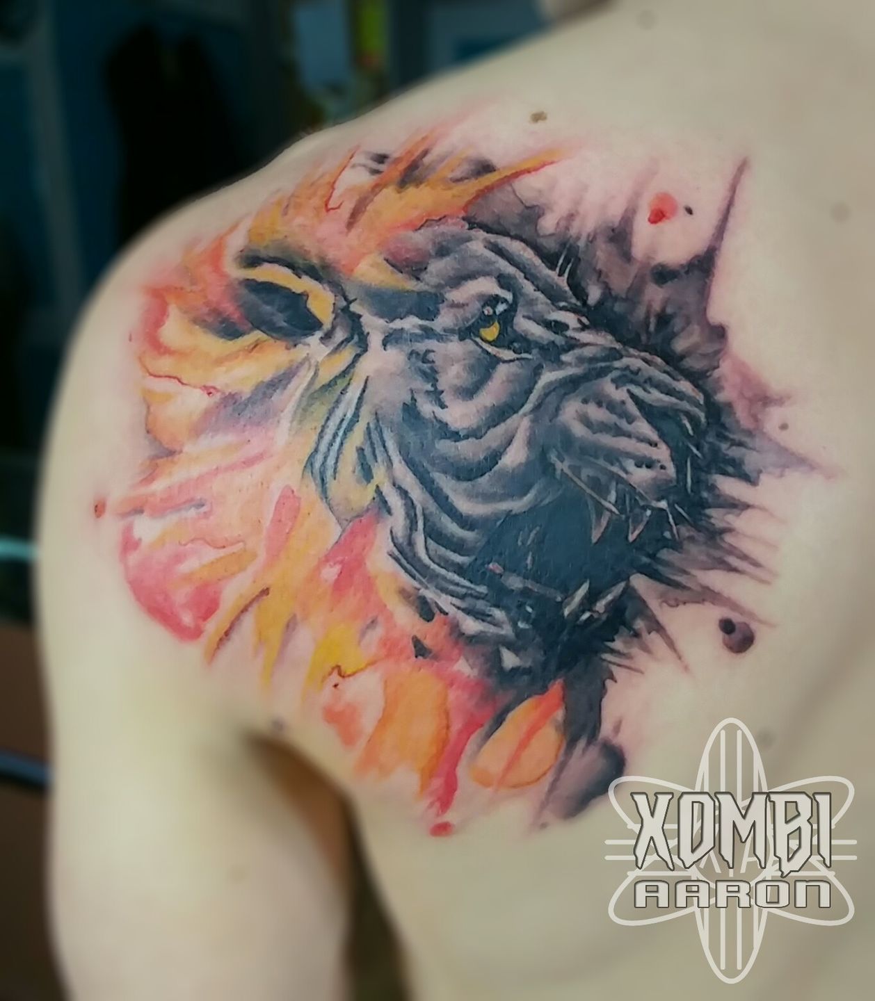 Picsart_02-23-11.02.32_1488167748837