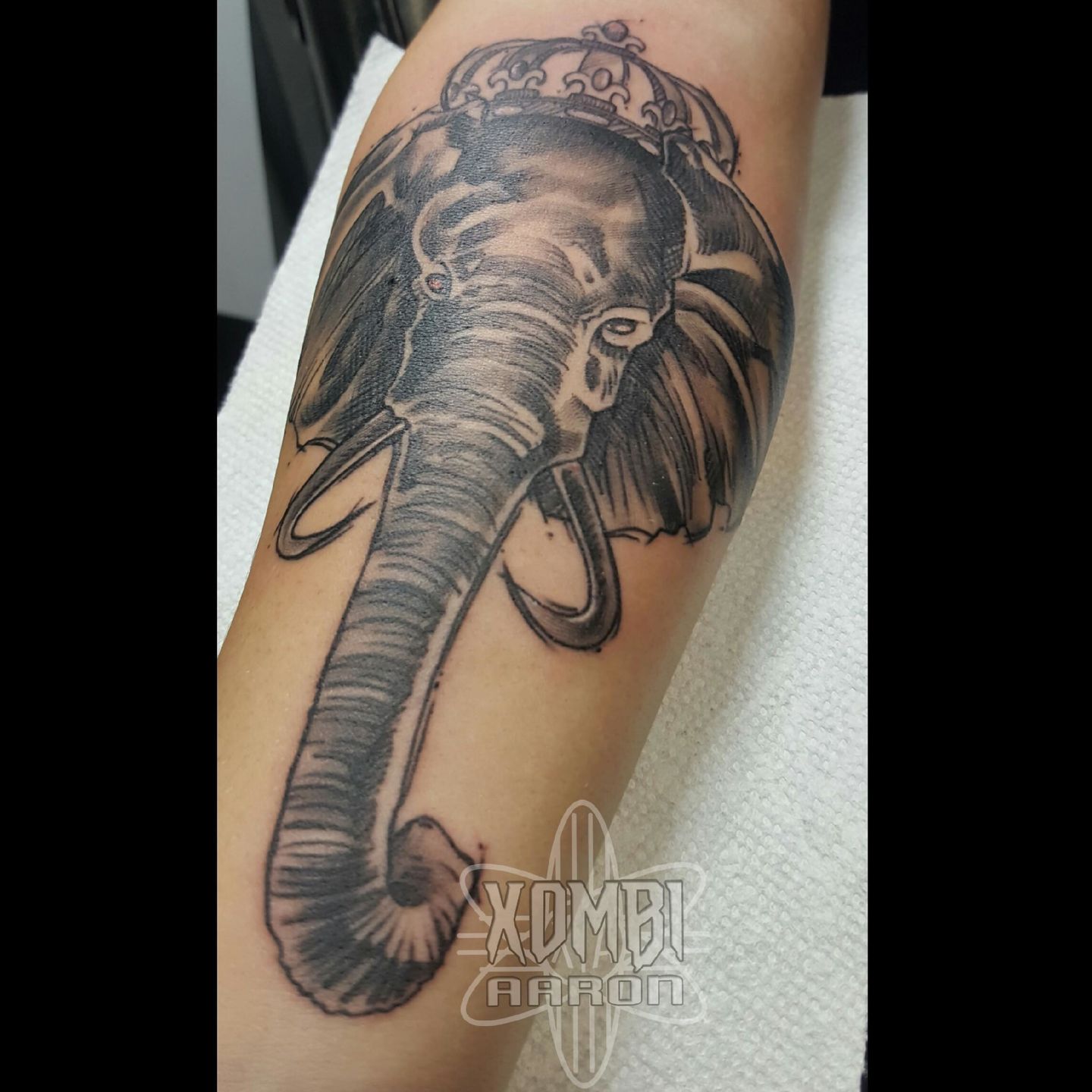 Picsart_12-11-05.01.48_1488166795436