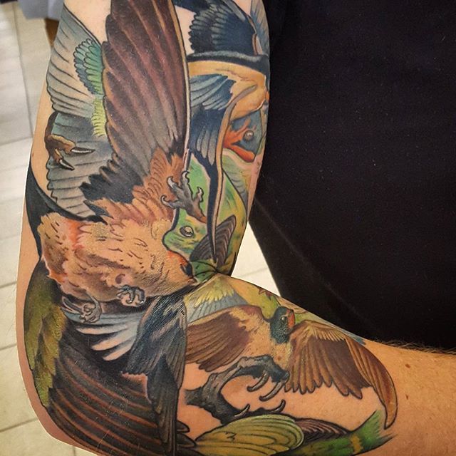 13534136_185797891823260_315258773_n