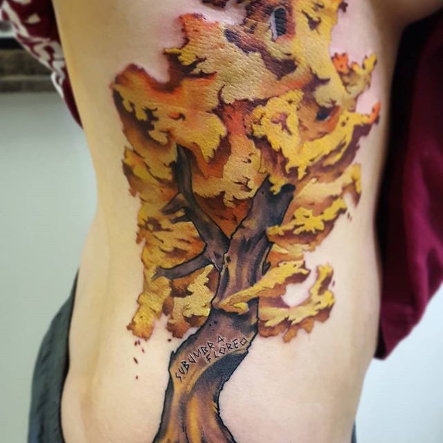 12917889_221395684890365_621809262_n