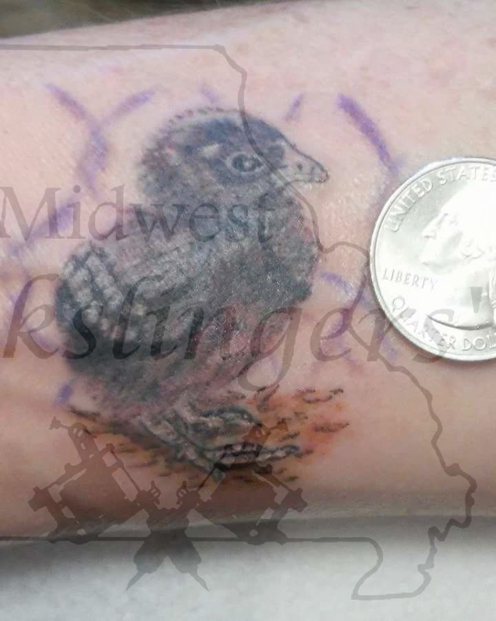 Fb_img_1488718169431