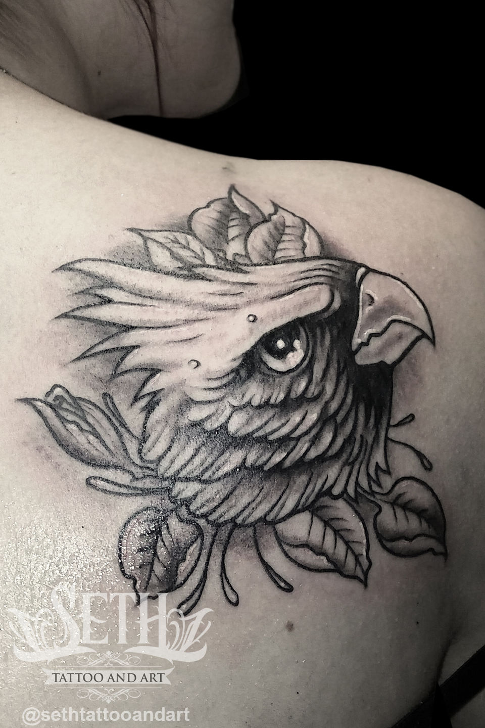 Cardinal_head_tattoo__tattooed_tattoos_ink_inked_tattooer_tattoo_artist_neotraditional_new_traditional_bird_flock_leaves_feathers_head_birdie_seth_michael_tattoo_art_seth_black_and_grey_greywash