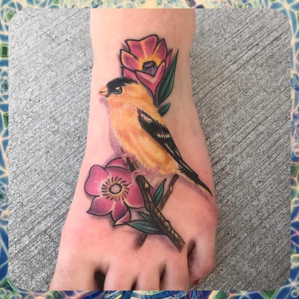 Jason_wilson_portfolio_goldfinch