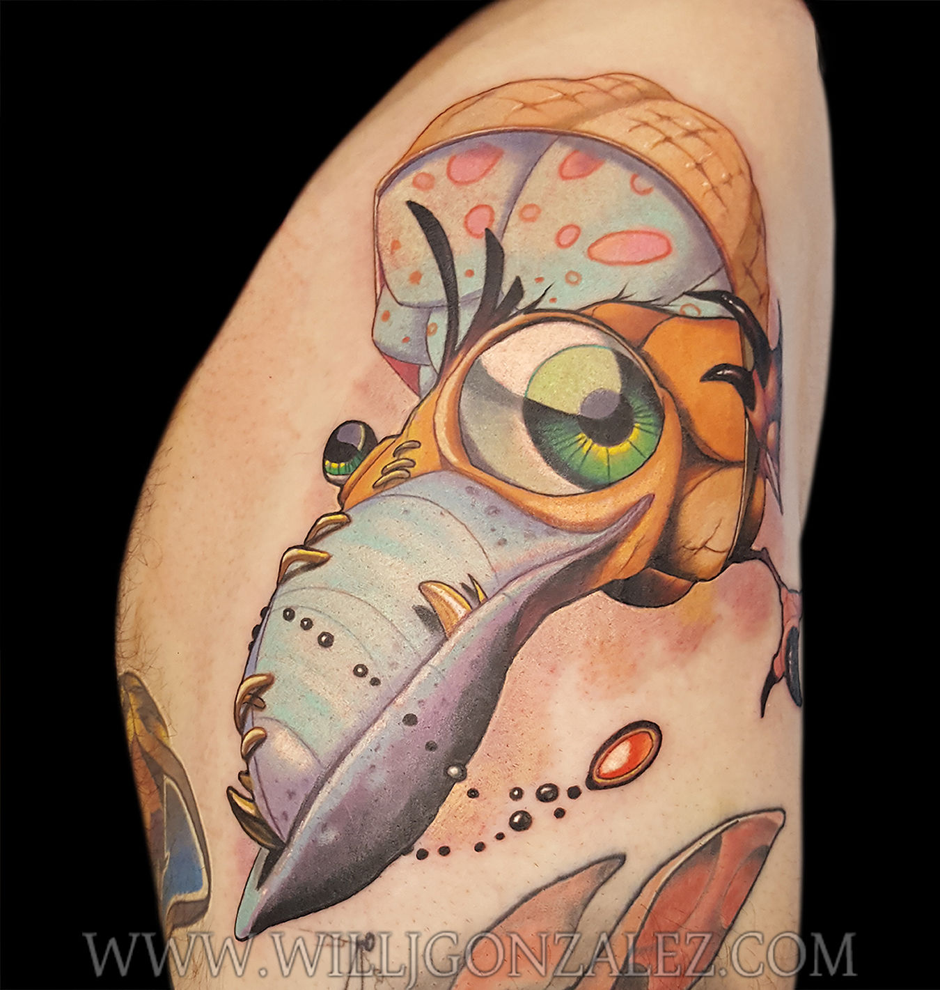 Portfolio_martindbird_72dpi_wm