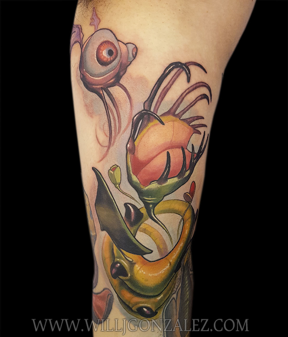 Portfolio_juniorflytrap_72dpi_wm