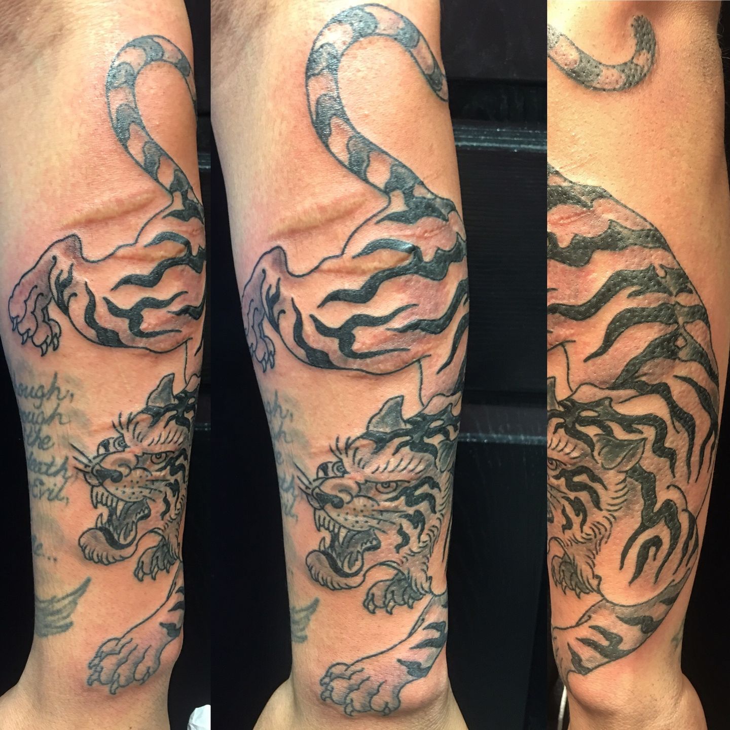 B856c26d-1f3d-4169-a206-2f99782ac852