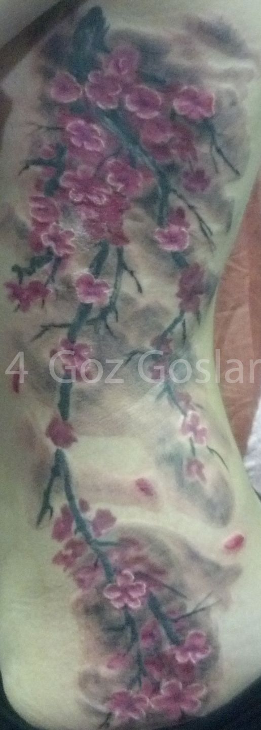 Img_20151222_122438_468