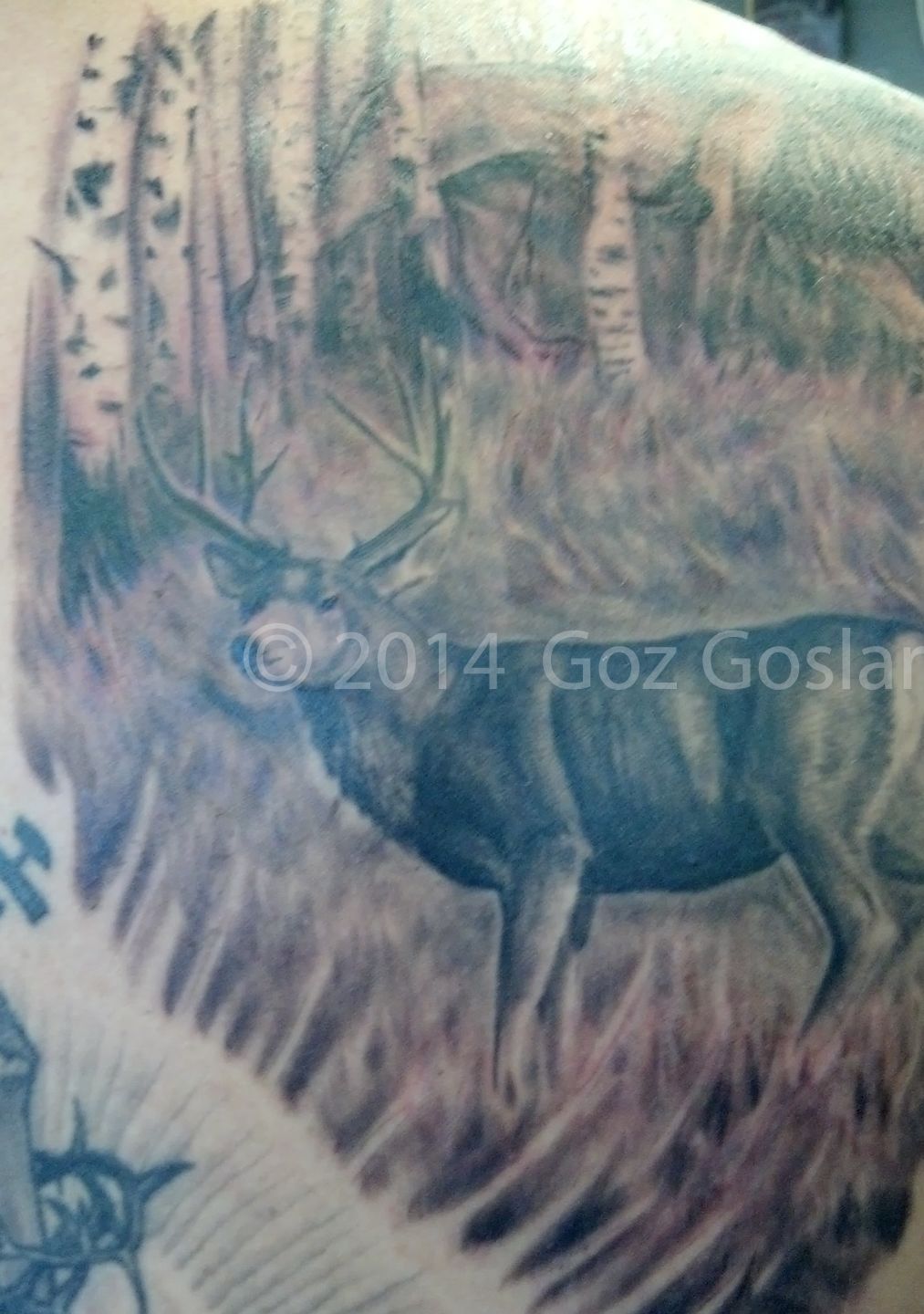 Img_20150519_160218_763