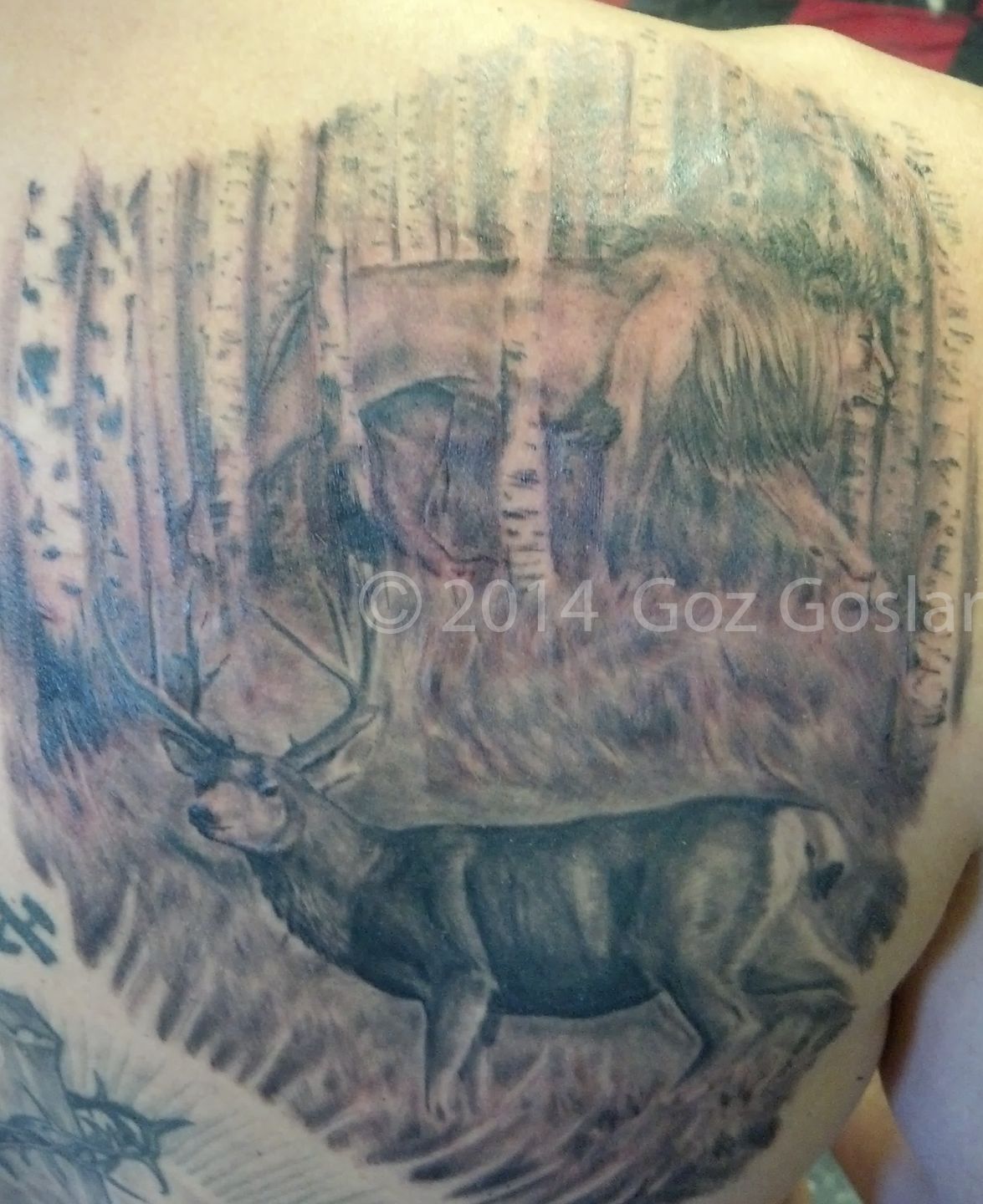 Img_20150519_160211_517