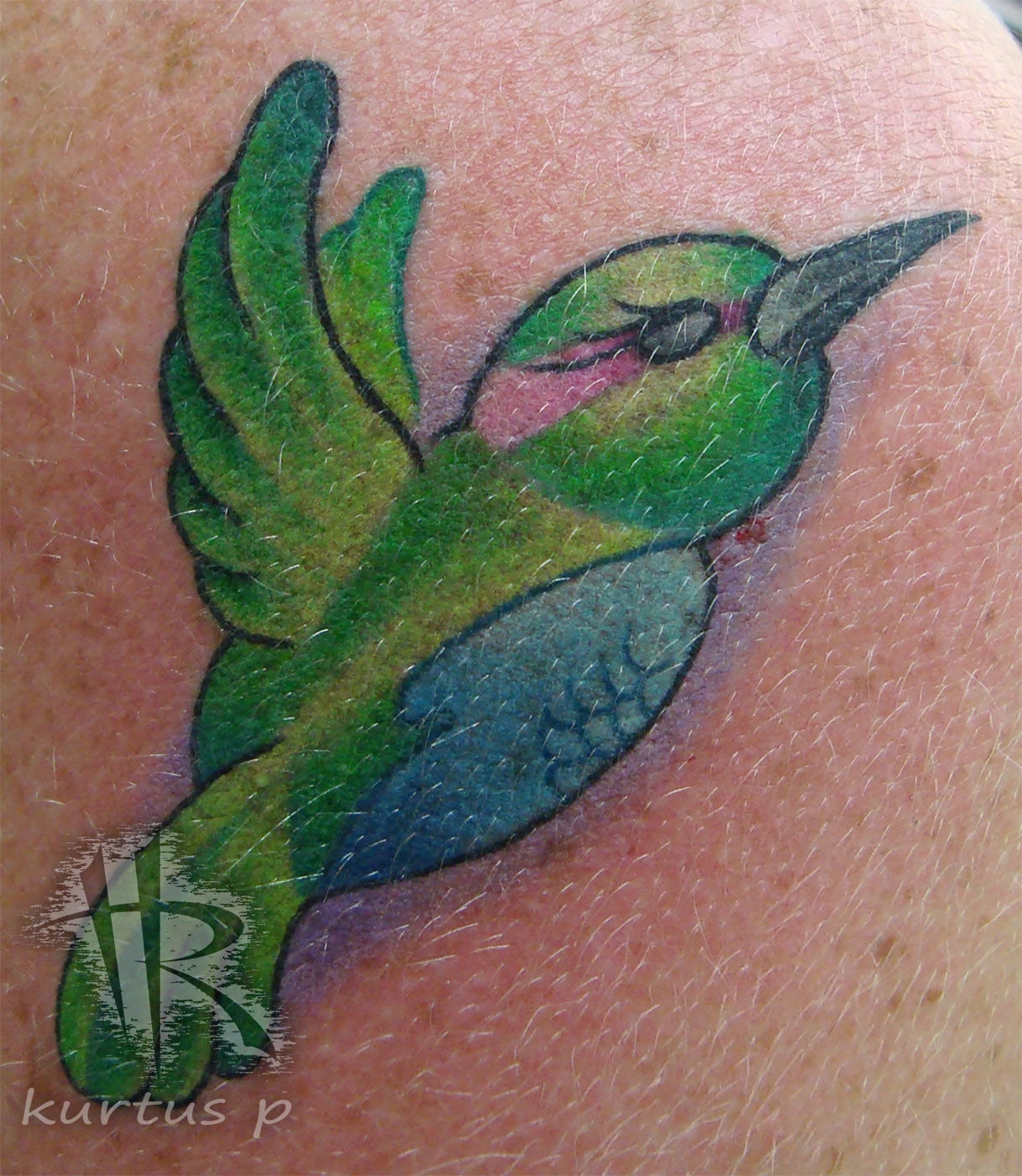 Haley-hummingbird-cloud