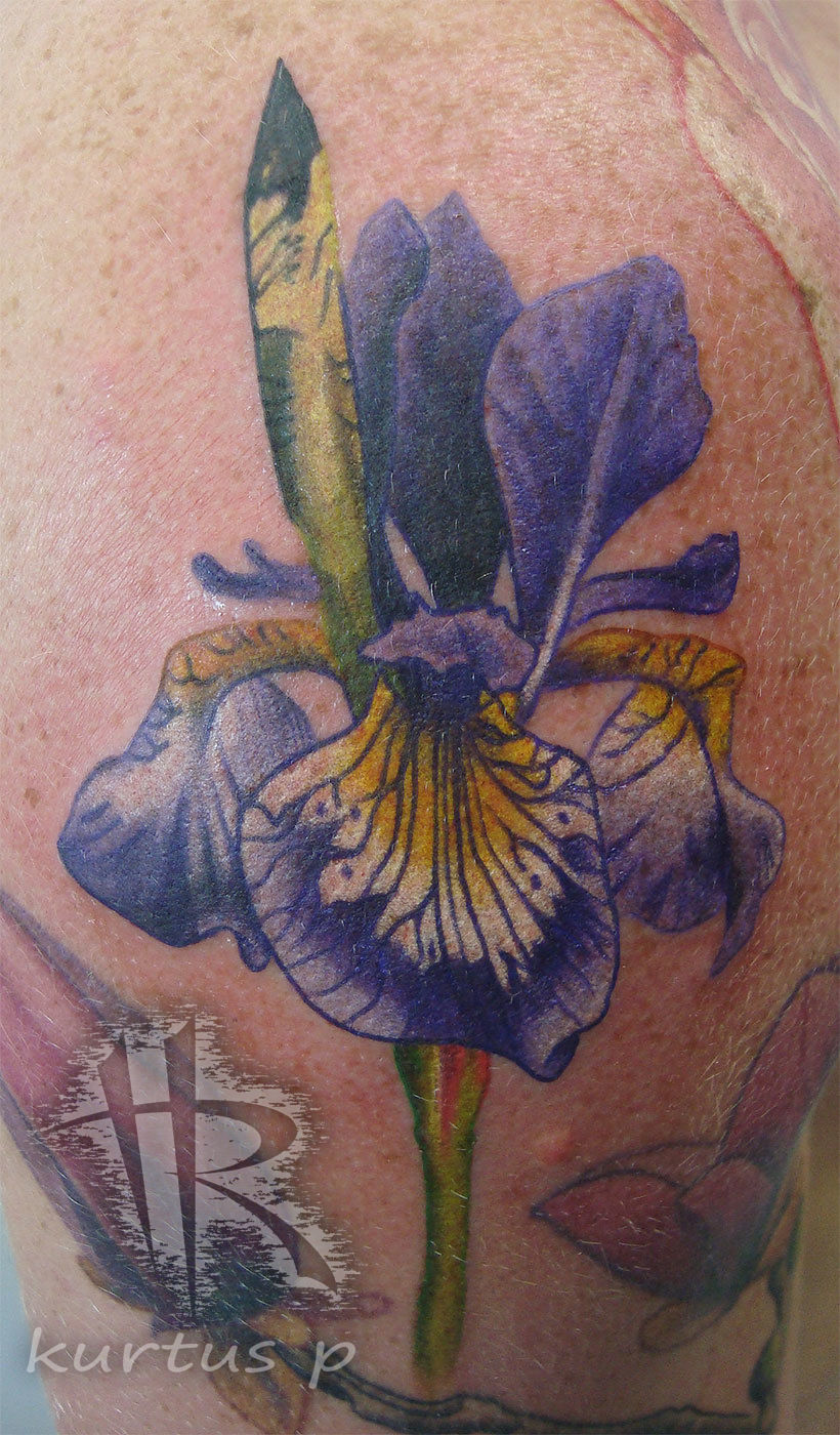 Cody-purp-iris-cloud