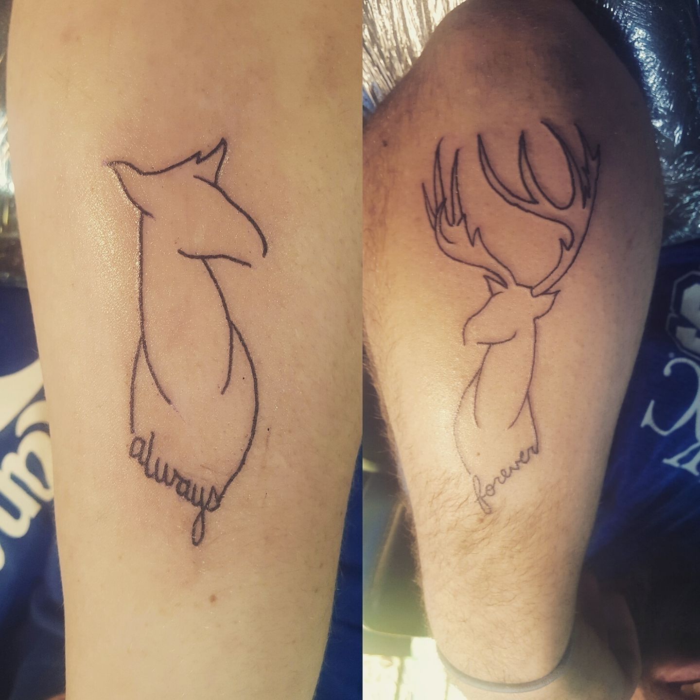 Img_20170218_031341_718