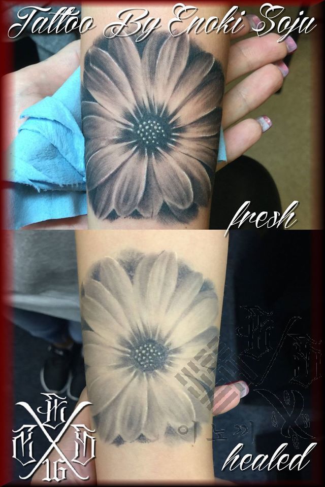 18156570_1380997435299176_8473703356623844453_o