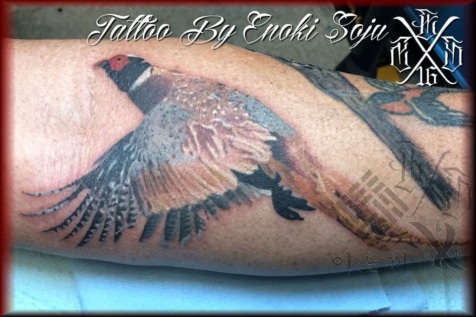 18118788_1381000285298891_5541090397072320237_n