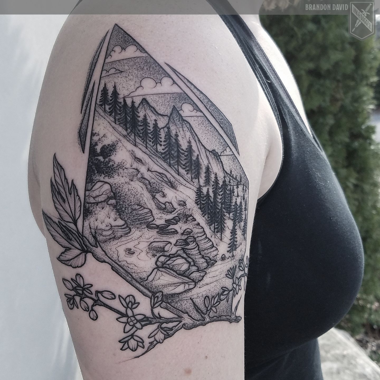 Img_20170324_211039_647