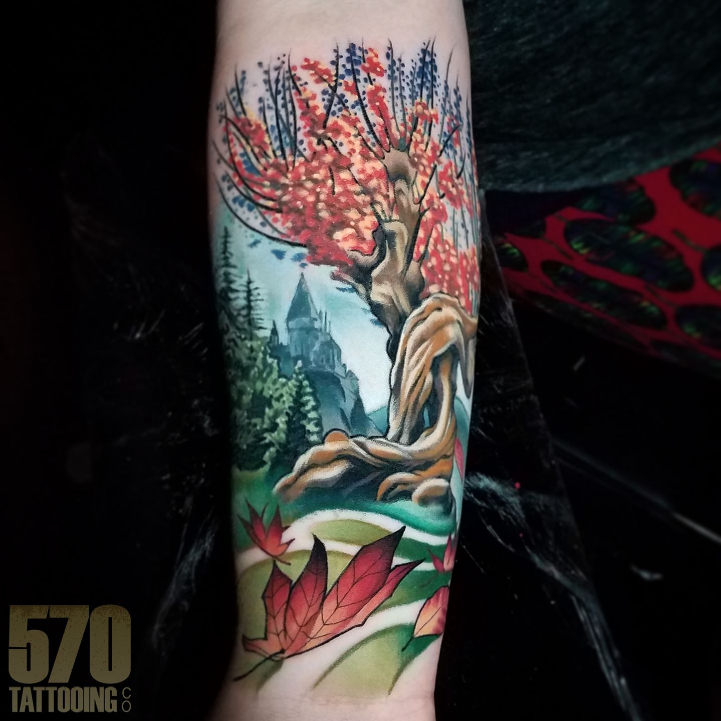 Img_20170419_202955_731