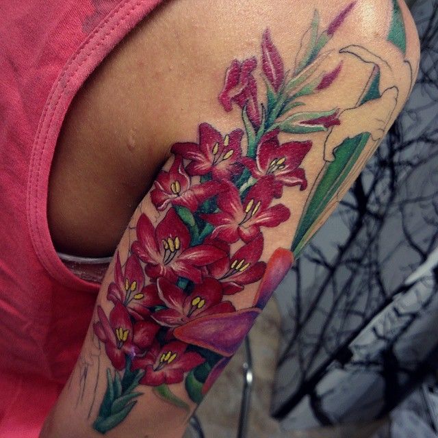 10473615_10204355714153355_495320943124075819_n