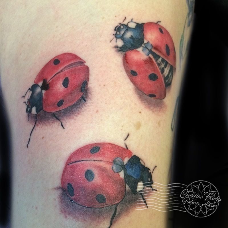 Ladybugsedited