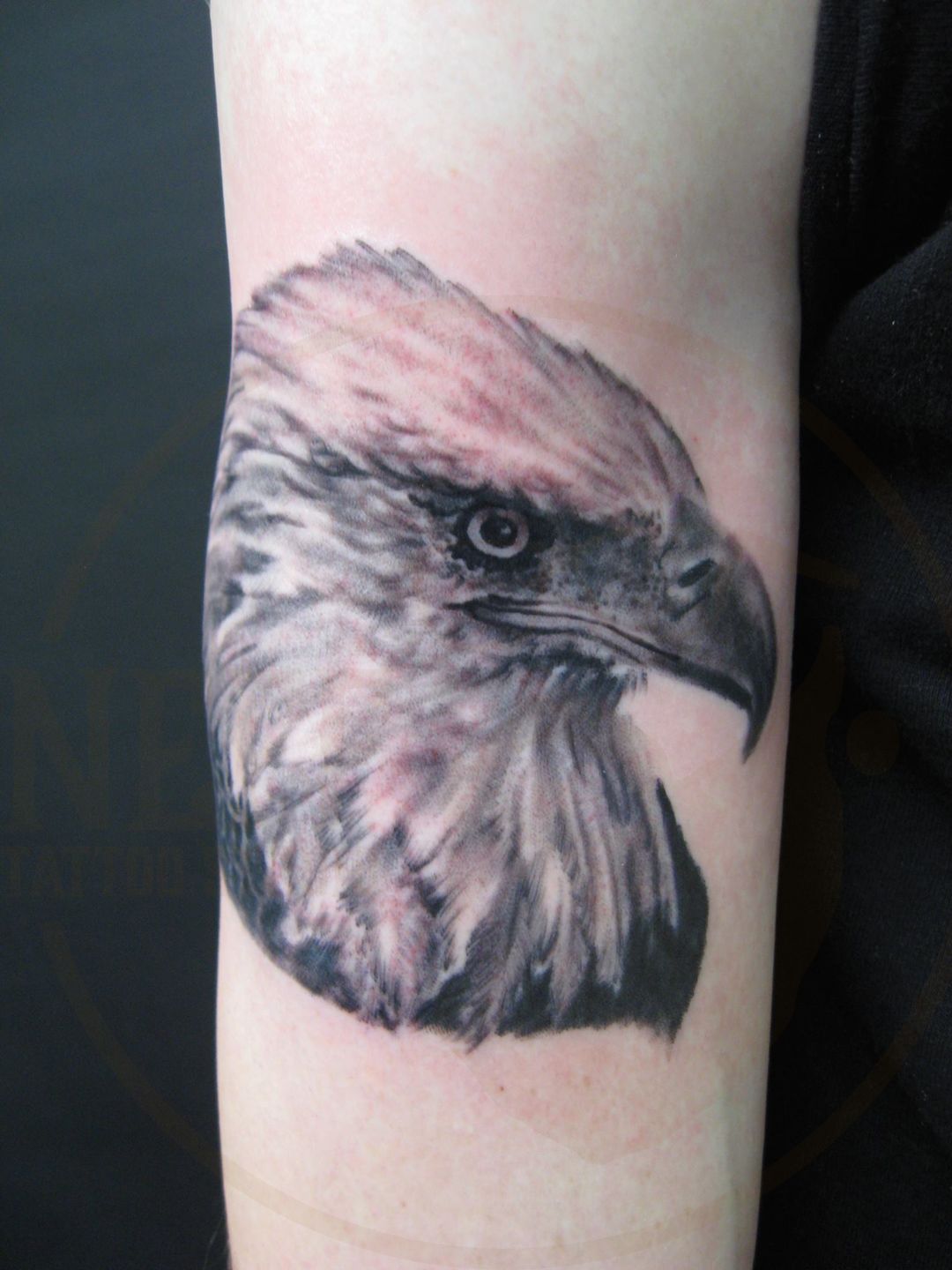 1978452_739500969503803_2977973193977990882_o