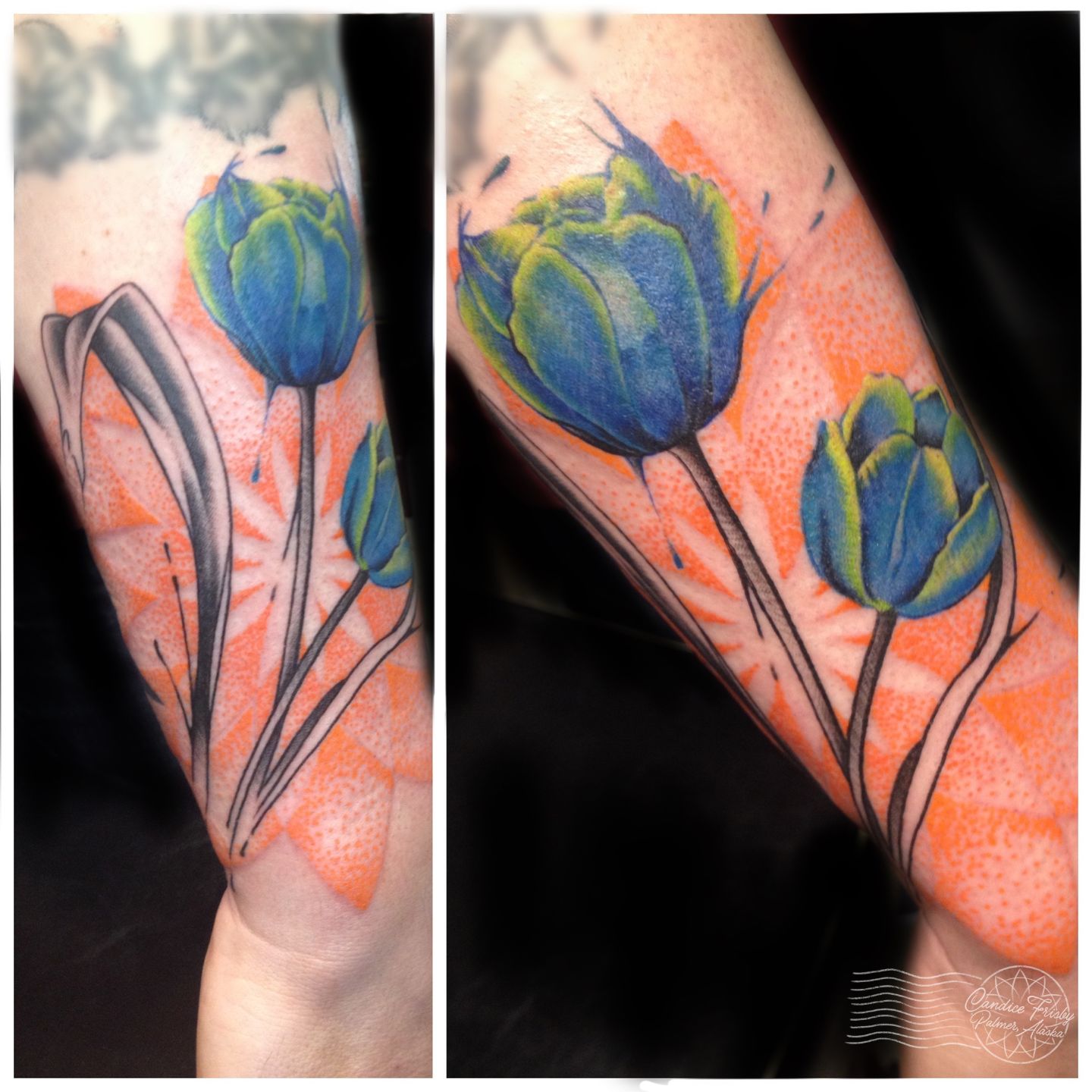 Bluetulipsedited