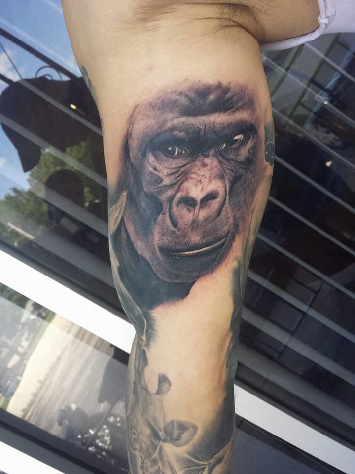 16114719_211532555920349_27336682166287721_n