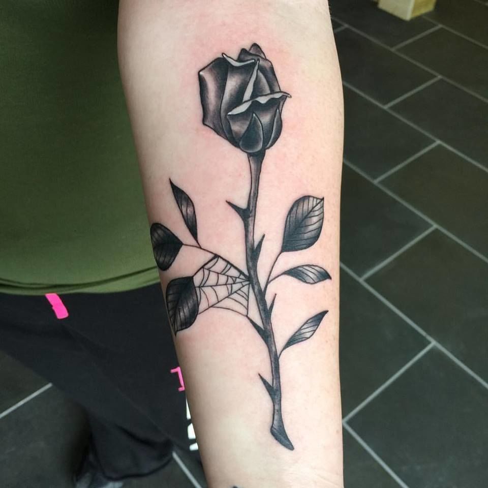 18118609_10208828159357126_4275171326221314964_n