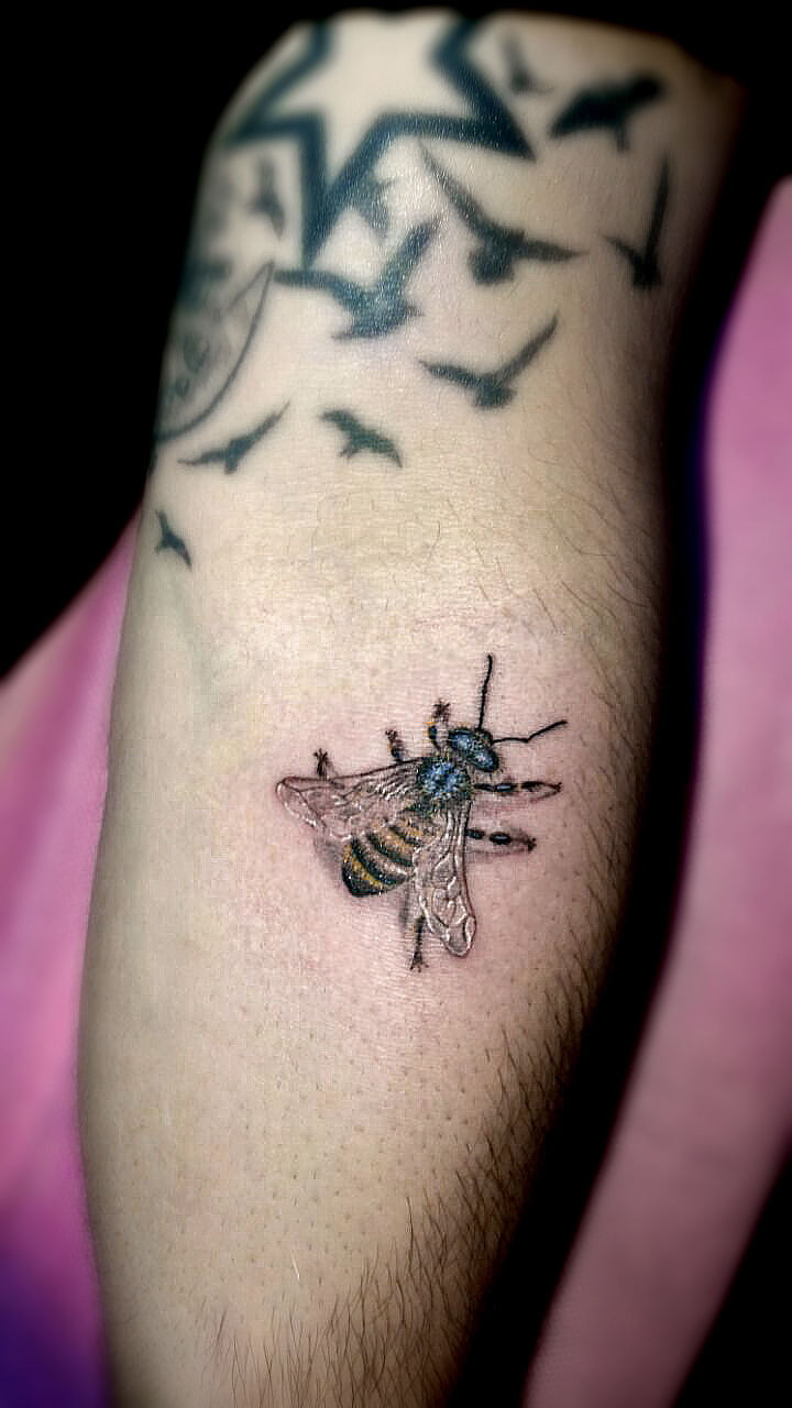 D1093397-17e9-4814-835b-5bc4f3b9f49c