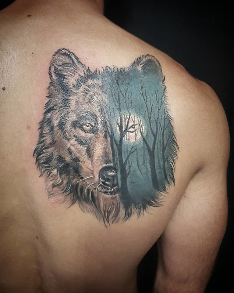 18582139_834096380080416_2275599040641838805_n