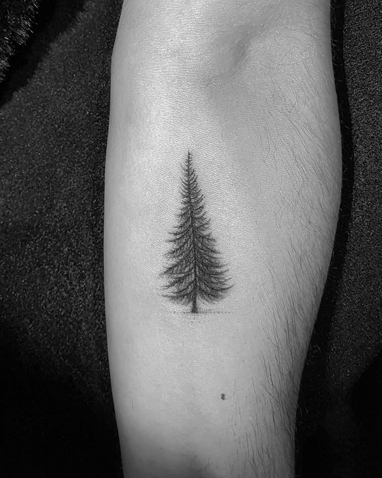 17353125_795745833915471_3553988587934248207_n