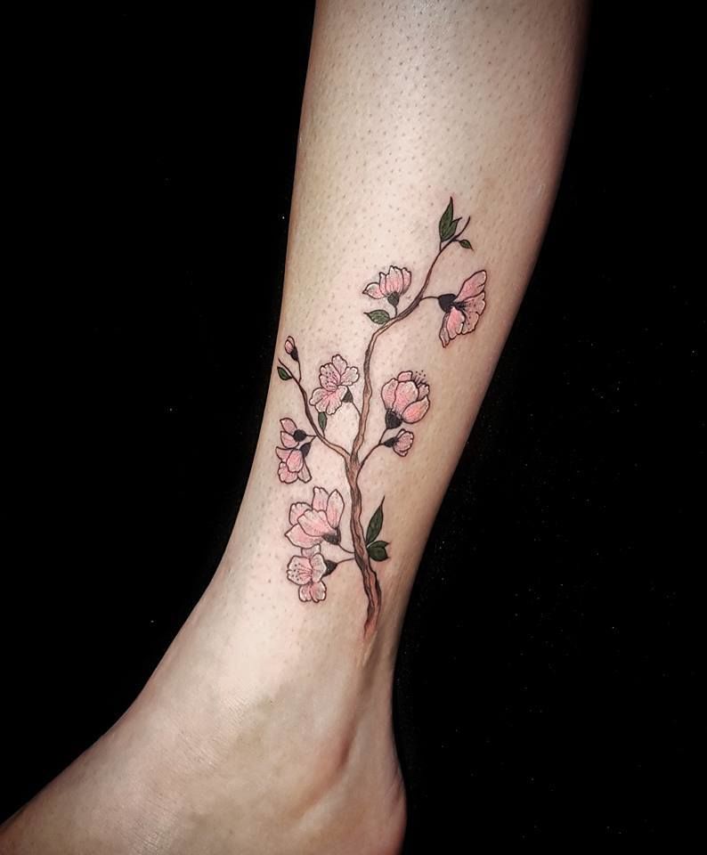 17352035_795745620582159_3689775411817793365_n