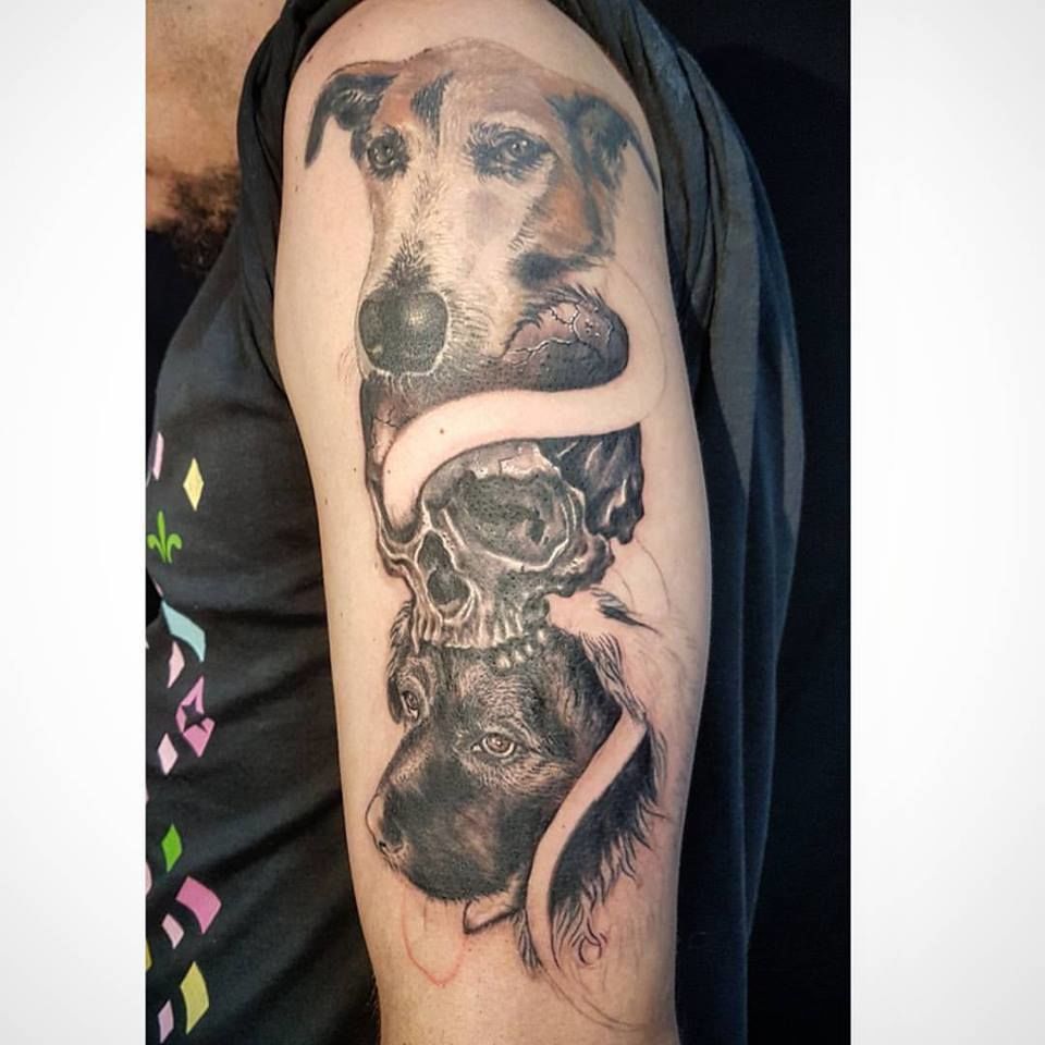 19113620_846468775509843_6574479528967397845_n