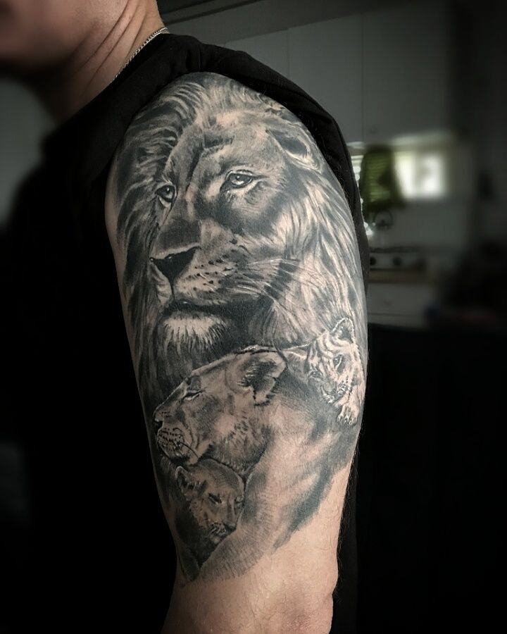 14915339_715840555239333_1628099386578531890_n