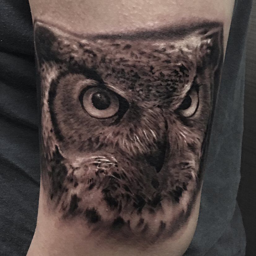 18486449_1315560228521835_1272842074658697212_n